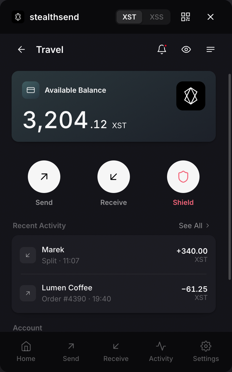 stealthsend extension — a single account's balance and recent activity